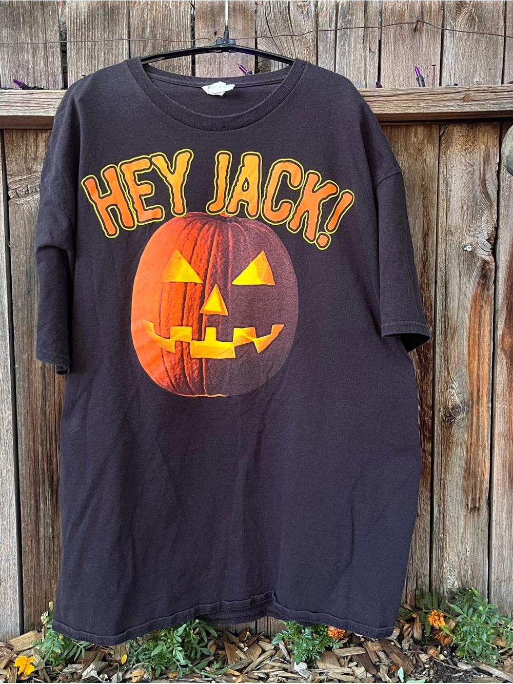 HEY JACK! Vintage Pumpkin Graphic Tee - Black & Orange Summerween Costume